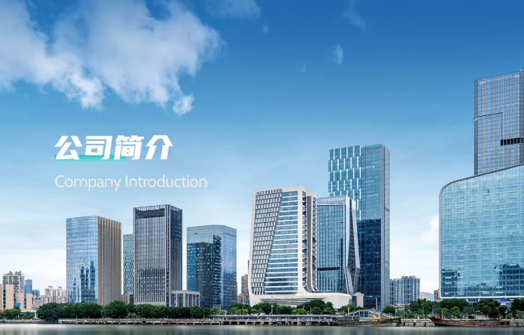 公司介绍