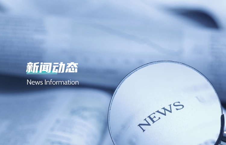 公司动态
