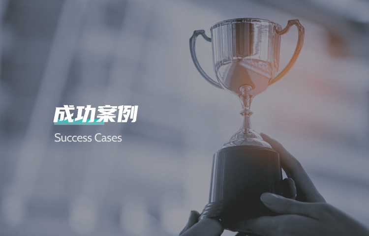 成功案例
